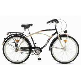 Schwinn Cruiser