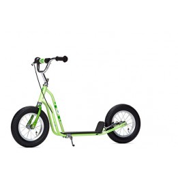 Schwinn Roller 12